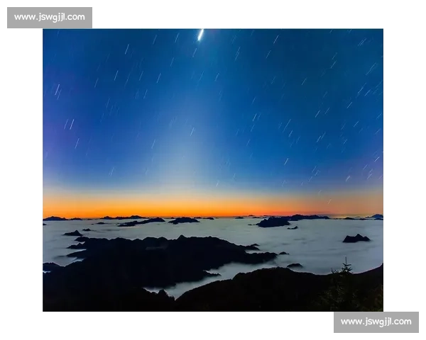 晨雾与羽翅:鸟里的早安启示